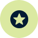 Star Icon
